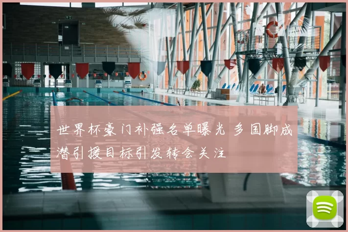 世界杯豪门补强名单曝光 多国脚成潜引援目标引发转会关注