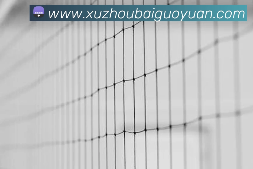 安博官方网站 - 安博anbo(中国)平台生态图